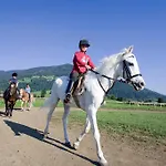 Fritzenwallner Wagrain