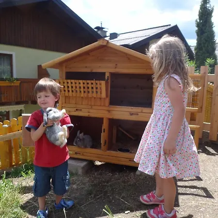 Appartement Fritzenwallner Wagrain