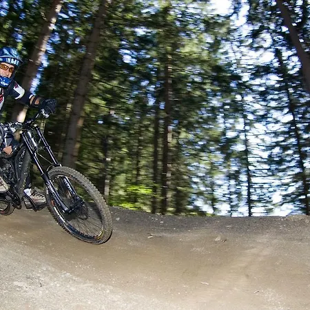 Appartement Fritzenwallner Wagrain