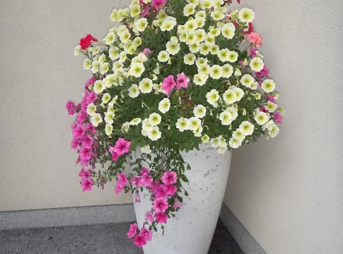 Fritzenwallner * Wagrain