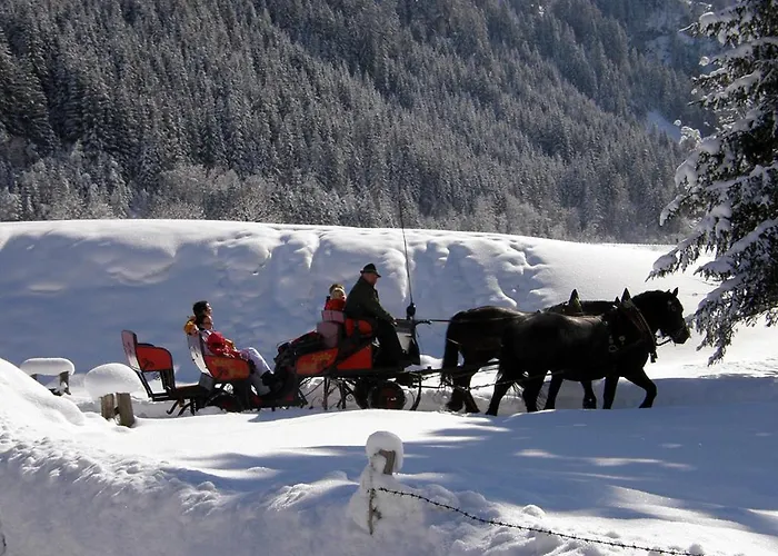 Διαμέρισμα Fritzenwallner *