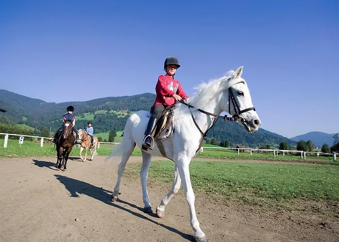 Fritzenwallner Wagrain